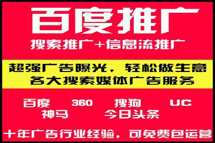 搜索引擎营销（SEM）的投放策略与效果评估——以某行业领先企业的案例分析